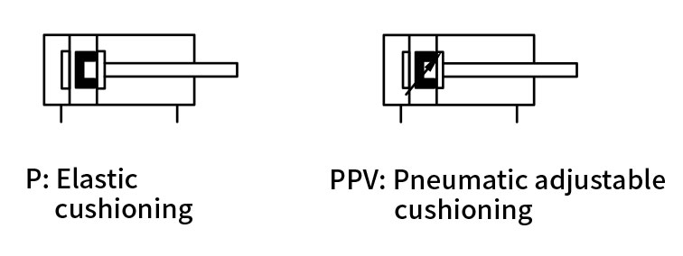 DPST-1_03.jpg